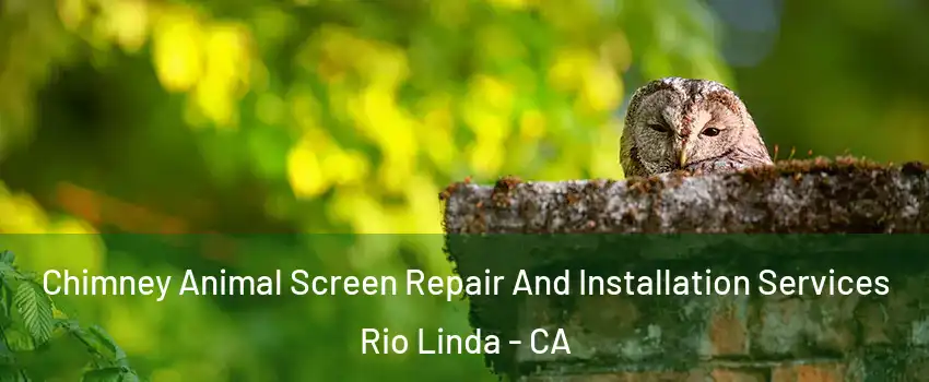  Chimney Animal Screen Repair And Installation Services Rio Linda - CA