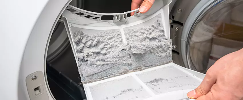 Best Dryer Lint Removal Company in Rio Linda, California