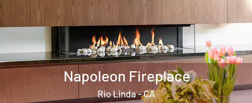  Napoleon Fireplace Rio Linda - CA